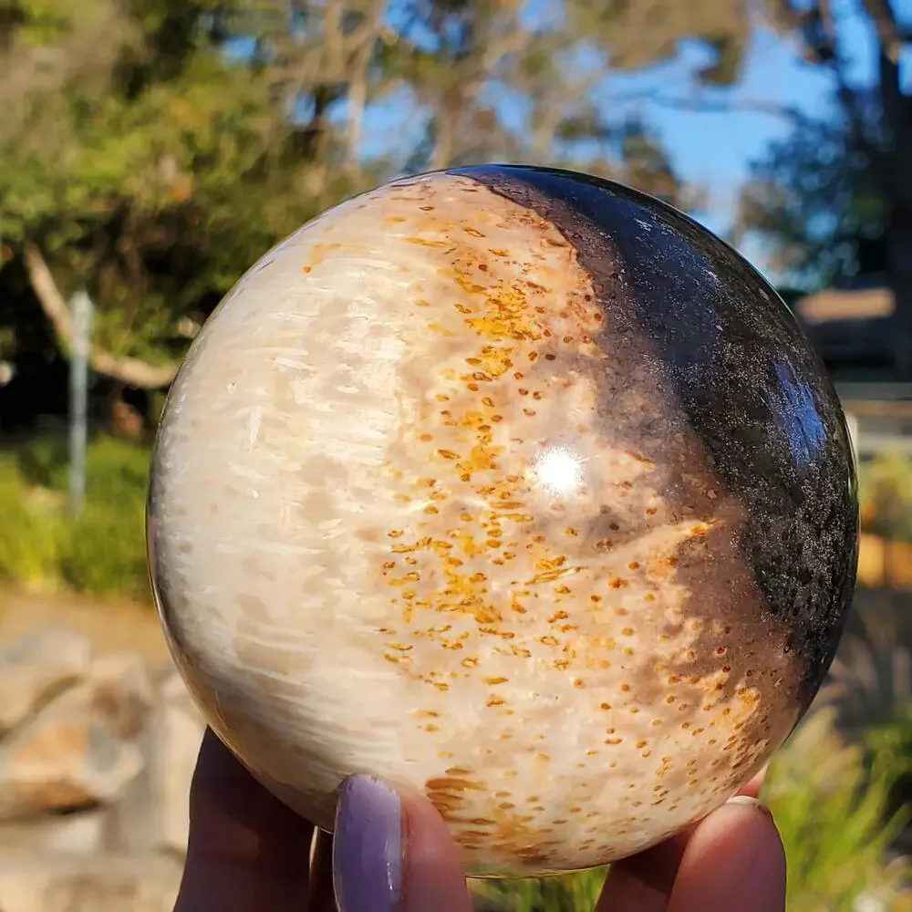 Large Petrified Palm Root Wood Fossil Crystal Sphere Indonesian 714 grams | 82mm